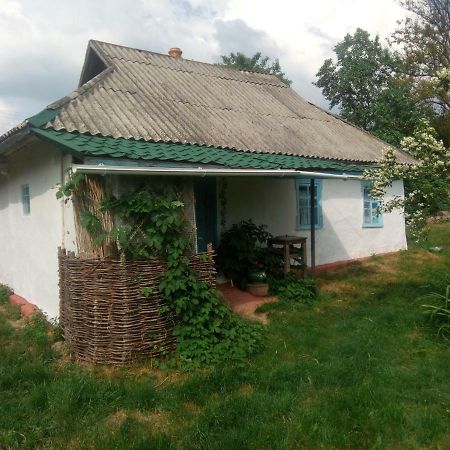 Дибинецькі Карпати Dybintsy Exterior photo