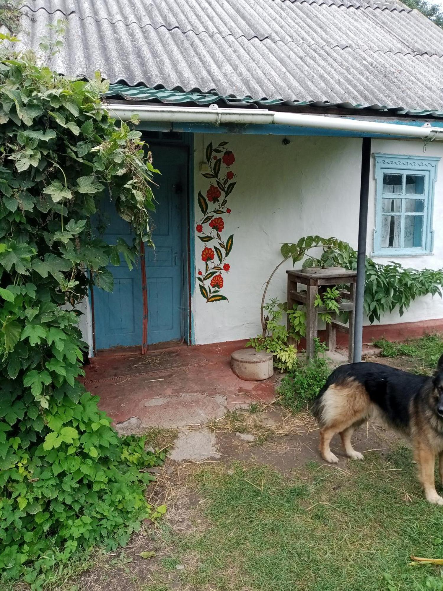 Дибинецькі Карпати Dybintsy Exterior photo