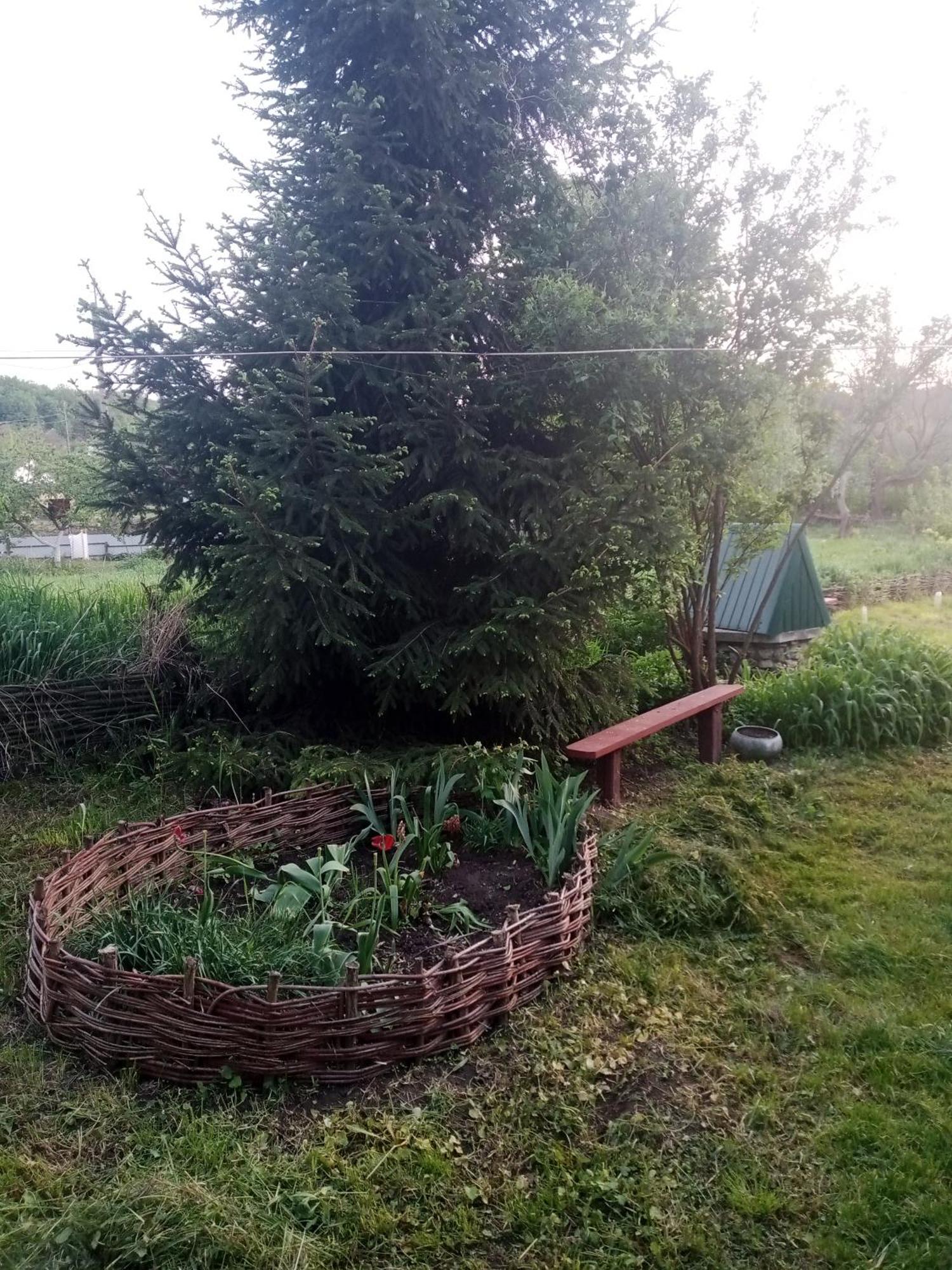 Дибинецькі Карпати Dybintsy Exterior photo