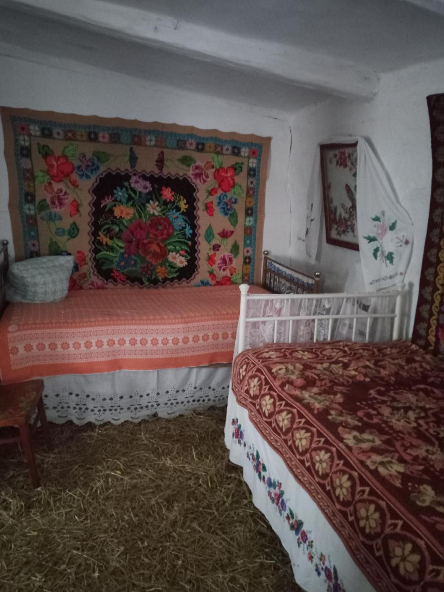 Дибинецькі Карпати Dybintsy Exterior photo