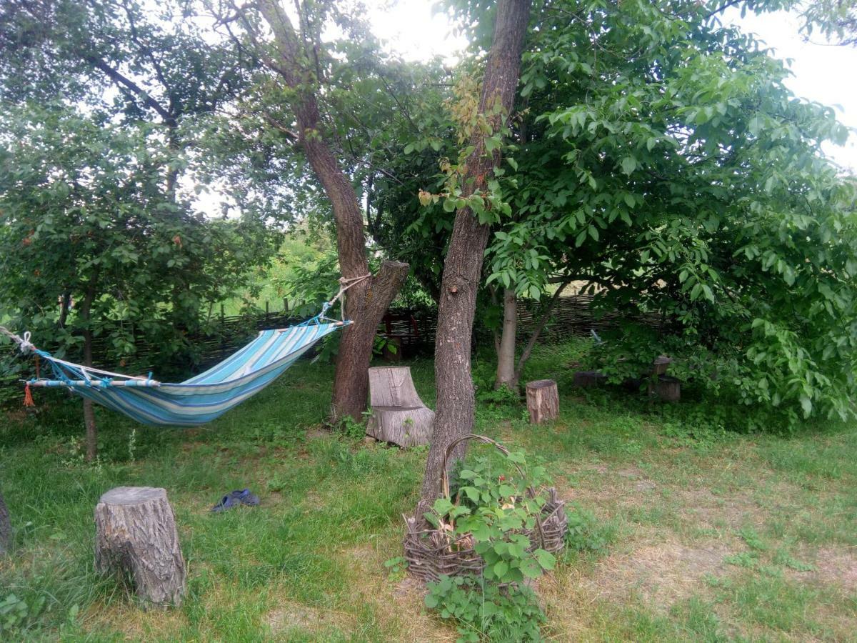 Дибинецькі Карпати Dybintsy Exterior photo
